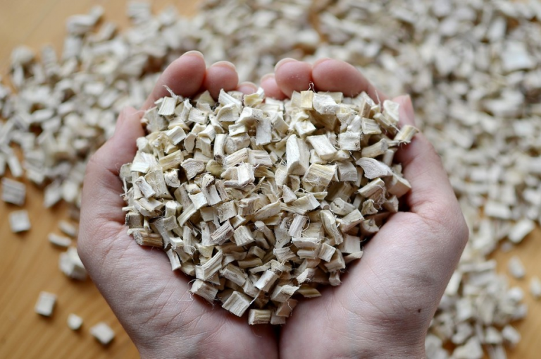 Marshmallow Root: Can It Heal Your Gut?